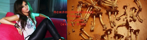 сатива Медногорск