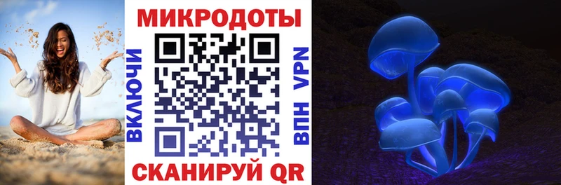 Галлюциногенные грибы Psilocybe  Дудинка 